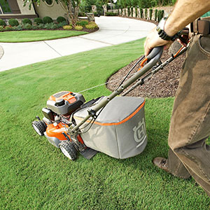 Garden Maintenance Services